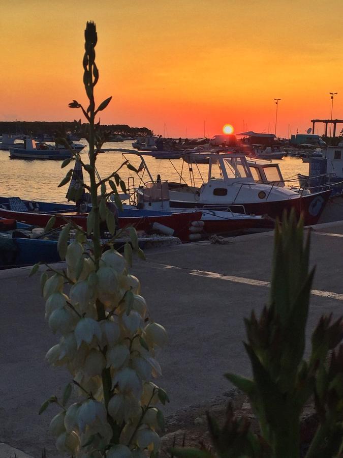La Casa Di Ada E Gigi Vacanze Porto Cesareo Eksteriør billede